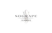Sogrape Logo